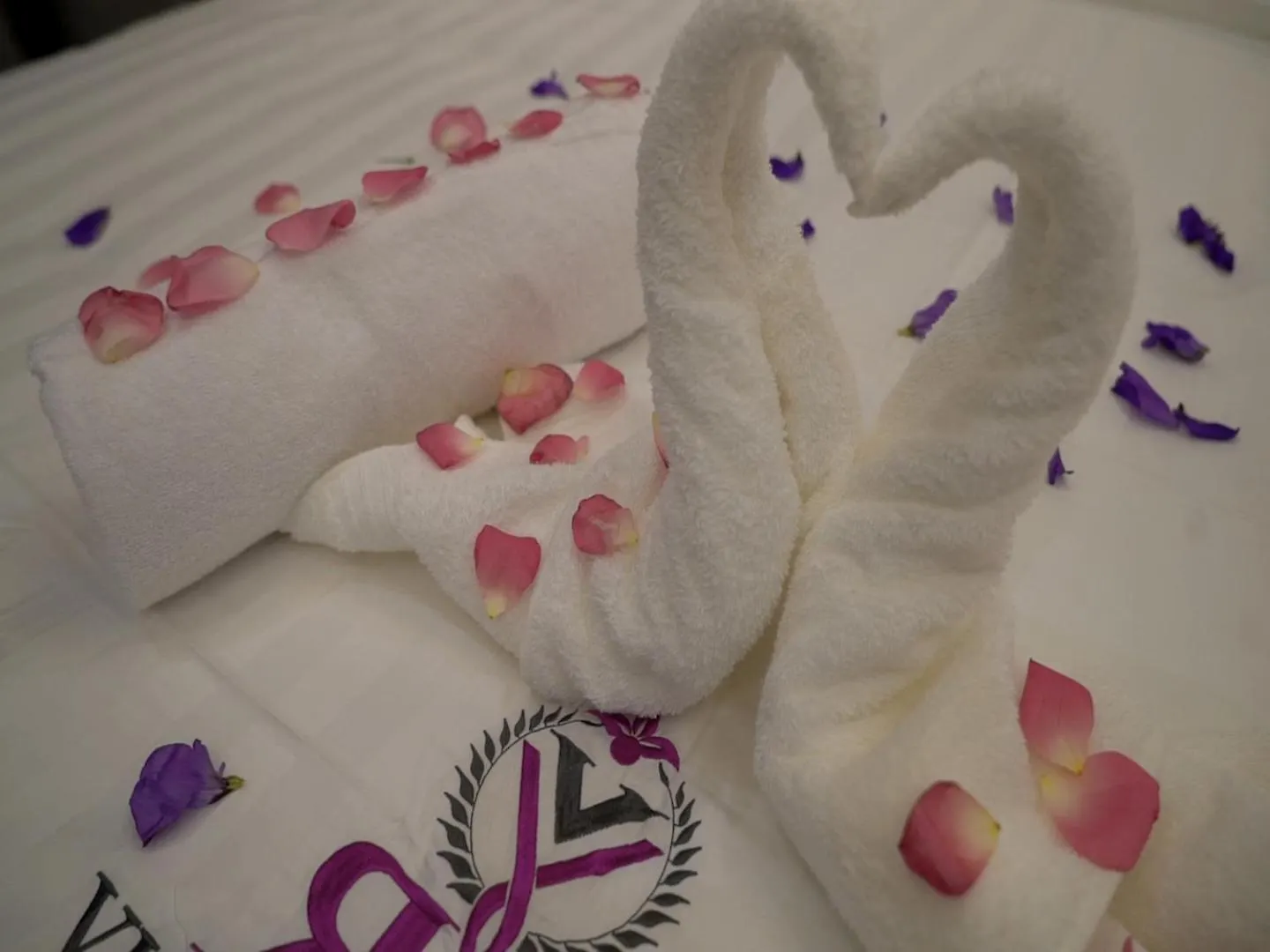 Aparthotel Violet Rose Aprit Hotel Jiddah Arabia Saudita