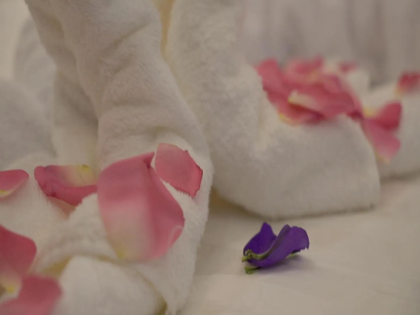 Aparthotel Violet Rose Aprit Hotel Jiddah